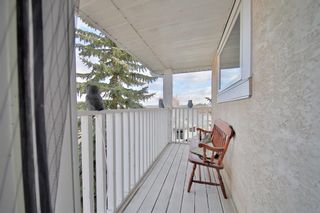 Photo 27: 10 388 Sandarac Drive NW in Calgary: Sandstone Valley Row/Townhouse for sale : MLS®# A1181075