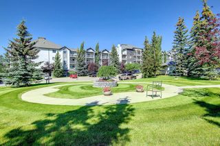 Photo 24: 402 33 Arbour Grove Close NW in Calgary: Arbour Lake Apartment for sale : MLS®# A1241662