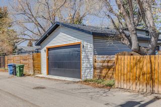 Photo 37: 6619 54 Avenue NW in Calgary: Silver Springs Detached for sale : MLS®# A2046209