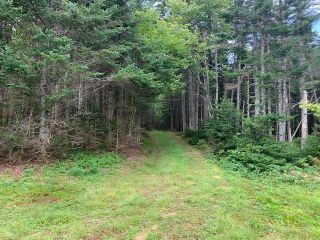 Photo 9: 649 South Wyvern Road in Simpson Lake: 102S-South Of Hwy 104, Parrsboro and area Residential for sale (Northern Region)  : MLS®# 202120844