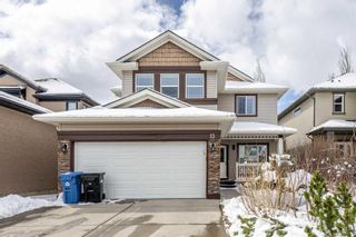 Photo 48: 13 Royal Birch Hill NW in Calgary: Royal Oak Detached for sale : MLS®# A2121795