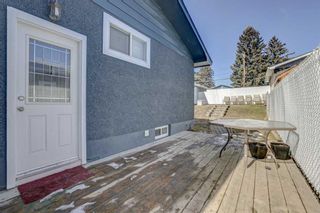 Photo 29: 4603 Namaka Crescent NW in Calgary: North Haven Detached for sale : MLS®# A2120610