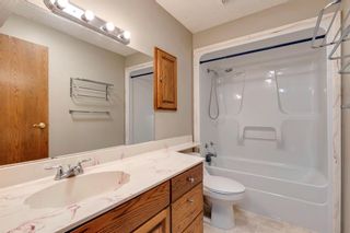 Photo 33: 171 Sandringham Road NW in Calgary: Sandstone Valley Detached for sale : MLS®# A2046856