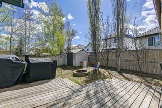 Photo 33: 39 Mt. Apex Crescent SE in Calgary: McKenzie Lake Detached for sale : MLS®# A1220343