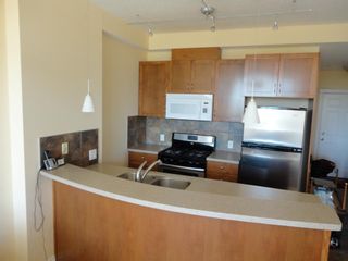 Photo 9: 3401 24 Hemlock Crescent SW in Calgary: Spruce Cliff Apartment for sale : MLS®# A1242377