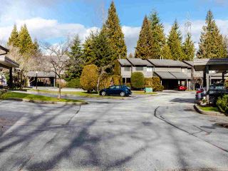 Photo 16: 106 1950 CEDAR VILLAGE Crescent in North Vancouver: Westlynn Townhouse for sale in "MOUNTAIN ESTATES" : MLS®# R2439112