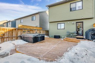 Photo 29: 99 Walden Terrace SE in Calgary: Walden Semi Detached (Half Duplex) for sale : MLS®# A2019284