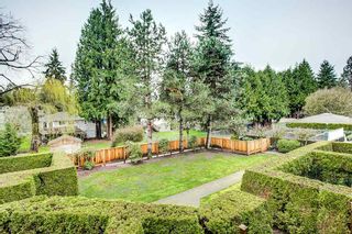 Photo 15: 12 2120 CENTRAL AVENUE in Port Coquitlam: Central Pt Coquitlam Condo for sale : MLS®# R2255518