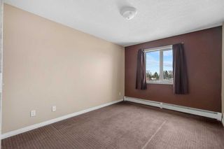 Photo 17: 324 1010 Railway Street: Crossfield Apartment for sale : MLS®# A2090287