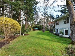 Photo 19: 3528 Plymouth Rd in VICTORIA: OB Henderson House for sale (Oak Bay)  : MLS®# 696453