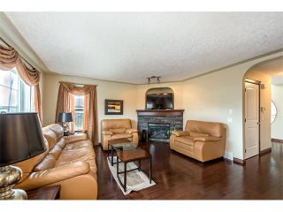 Photo 10: 100 SPRINGMERE Grove: Chestermere House for sale : MLS®# C4085468