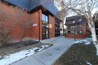 Photo 1: 1111 4001A 49 Street NW in Calgary: Varsity Apartment for sale : MLS®# A2099535