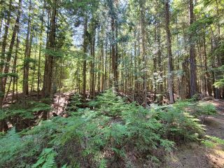 Photo 7: Lot 1 SAUNDERS ROAD in Passmore: Vacant Land for sale : MLS®# 2469922