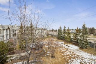 Photo 23: 3304 6818 Pinecliff Grove NE in Calgary: Pineridge Apartment for sale : MLS®# A2124115