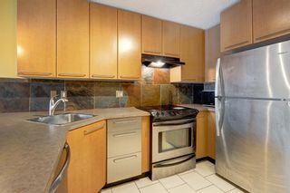 Photo 7: 344 35 Richard Court SW in Calgary: Lincoln Park Apartment for sale : MLS®# A2011983