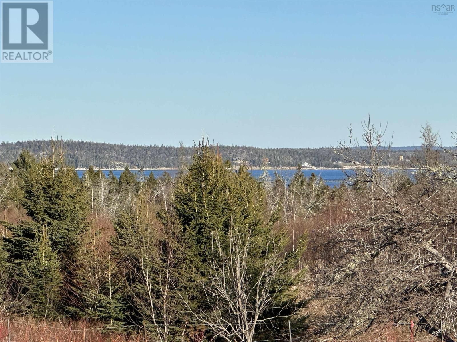 Main Photo: Lot 1 Old 329 Highway in Bayswater: Vacant Land for sale : MLS®# 202325483