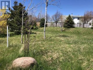Photo 4: 65 Ohio Drive in Stephenville: Vacant Land for sale : MLS®# 1234009