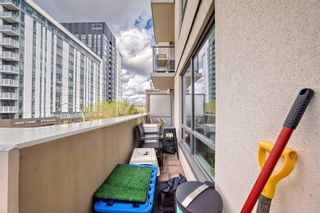 Photo 16: 313 38 9 Street NE in Calgary: Bridgeland/Riverside Apartment for sale : MLS®# A2133357