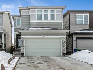 Photo 1: 293 Walgrove Terrace SE in Calgary: Walden Detached for sale : MLS®# A1077066