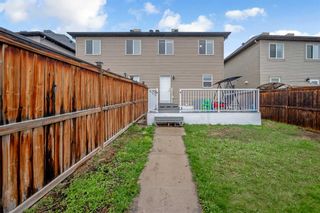 Photo 39: 309 Skyview Ranch Drive NE in Calgary: Skyview Ranch Semi Detached (Half Duplex) for sale : MLS®# A2129608
