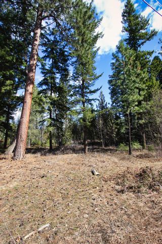 Photo 9: Lot B Zinck Road in Scotch Creek: Land Only for sale : MLS®# 10249220