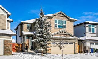 Photo 1: 14 Walden Court SE in Calgary: Walden Detached for sale : MLS®# A2022667