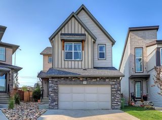 Photo 32: 109 WALDEN Square SE in Calgary: Walden Detached for sale : MLS®# C4261560