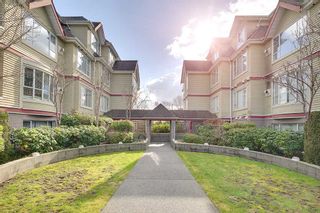 Photo 19: 305 868 W 16TH Avenue in Vancouver: Cambie Condo for sale in "Willow Springs" (Vancouver West)  : MLS®# R2141883