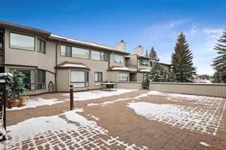 Photo 29: 203 2425 90 Avenue SW in Calgary: Palliser Apartment for sale : MLS®# A2126388