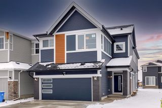 Photo 1: 114 Corner Meadows Grove NE in Calgary: Cornerstone Detached for sale : MLS®# A2026888
