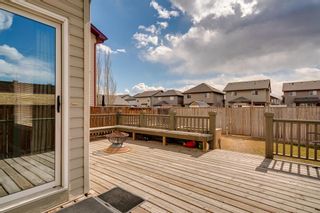 Photo 30: 385 Prestwick Terrace SE in Calgary: McKenzie Towne Detached for sale : MLS®# A1203660