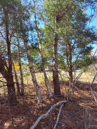 Photo 3: Lot 654-G Monte Vista Road in Enfield: 105-East Hants/Colchester West Vacant Land for sale (Halifax-Dartmouth)  : MLS®# 202409123