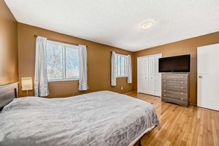 Photo 18: 35 Templemont Drive NE in Calgary: Temple Semi Detached (Half Duplex) for sale : MLS®# A2130143