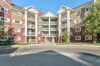 Photo 1: 1203 10 Prestwick Bay SE in Calgary: McKenzie Towne Apartment for sale : MLS®# A1041137