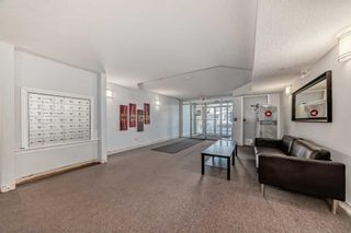 Photo 29: 407 1631 28 Avenue SW in Calgary: South Calgary Apartment for sale : MLS®# A2117389