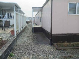 Photo 13: 19 2035 MARTENS Street in Abbotsford: Poplar Manufactured Home for sale in "MAPLEWOOD MOBILE PARK" : MLS®# R2551420