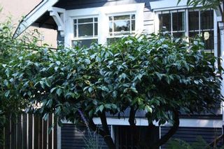 Photo 3: 4511 ELGIN Street in Vancouver: Fraser VE House for sale (Vancouver East)  : MLS®# R2180232