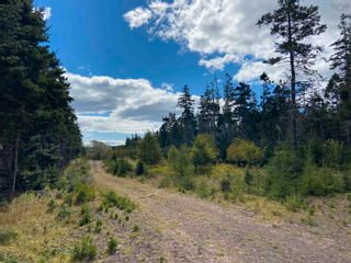 Photo 11: Lot Highway 320 in D'Escousse: 305-Richmond County / St. Peters Vacant Land for sale (Highland Region)  : MLS®# 202401544