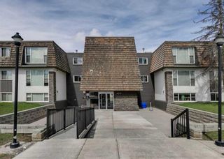 Photo 1: 205 920 68 Avenue SW in Calgary: Kingsland Apartment for sale : MLS®# A2145745