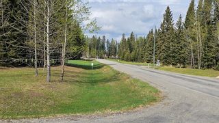 Photo 15: 315 5241 Township Road 325A: Rural Mountain View County Residential Land for sale : MLS®# A2033613