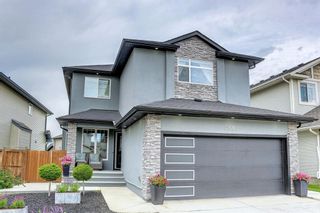 Main Photo: 380 Evanston View NW in Calgary: Evanston Detached for sale : MLS®# A1234580