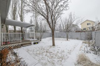 Photo 27: 429 Country Hills Place NW in Calgary: Country Hills Detached for sale : MLS®# A1188881