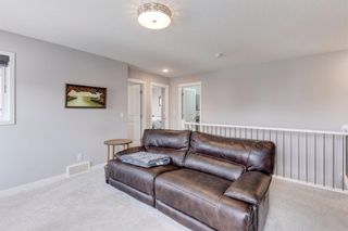 Photo 32: 142 Nolanhurst Rise NW in Calgary: Nolan Hill Detached for sale : MLS®# A1214654
