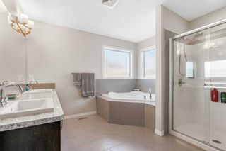 Photo 28: 14 Walden Grove SE in Calgary: Walden Detached for sale : MLS®# A2124458