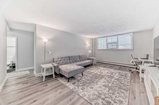 Photo 6: 103 1027 Cameron Avenue SW in Calgary: Lower Mount Royal Apartment for sale : MLS®# A2113620
