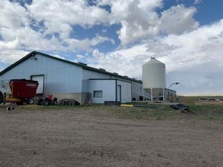 Photo 10: 253044 162 Township: Rural Vulcan County Industrial Land for sale : MLS®# A2011993