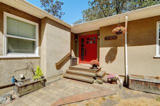 Photo 48: 4200 Cedar Hill Rd in Saanich: SE Mt Doug House for sale (Saanich East)  : MLS®# 913969