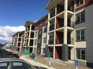 Photo 1: 5816 Mullen Place Northwest in Edmonton: Condo for rent (Magrath) 