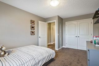Photo 32: 17 Masters Park SE in Calgary: Mahogany Detached for sale : MLS®# A2013887