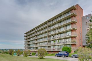 Photo 41: 203/204 3339 Rideau Place SW in Calgary: Rideau Park Apartment for sale : MLS®# A2018513